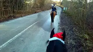25 dec 2018 X-mas Brunssummerheide 8