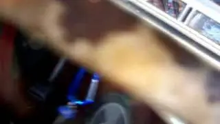Ford F100 302 driving