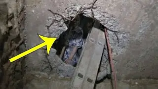 People found an abandoned basement. Having opened it, they gasped at what they saw!