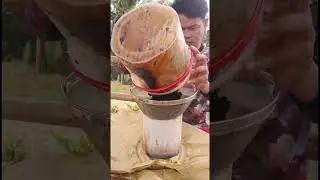 Paano gumawa ng Fermented Oregano Juice (FOJ) Part 2: The Extraction