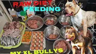 XL BULLY RAW DIET ! RAW FEEDING ( XL BULLY RAW DIET FOR BUILDING MUSCLE)