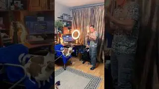 Хлопушка 🎉 в прямом эфире Kvik DoG