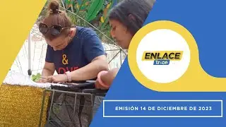 Noticias Enlace Trece (Emisión 14 de Diciembre de 2023)