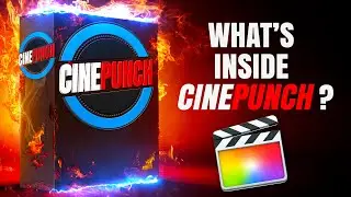 What's Inside CINEPUNCH for Final Cut Pro X?