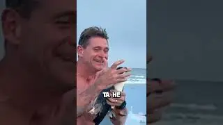 Seagull wouldn't let go of his finger... but then everything changed 