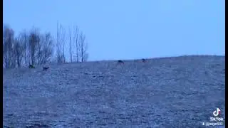 30 января 2022 г.
