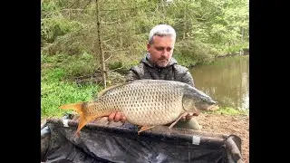 Trawling for Carps: Successes and Failures