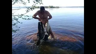 Открыли сезон.Самая уловистая снасть на сома.Перемет.