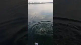 #рыбалка
