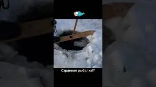 Странная рыбалка