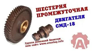 Промежуточная шестерня двигателя СМД-18 с пальцем на ДТ-75