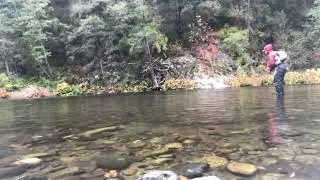 Upper SAC WINTER Fly Fishing