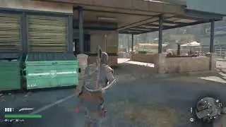 Days gone