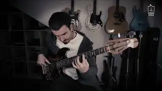 A Few Tips From Mozart // Bass Around the World #14