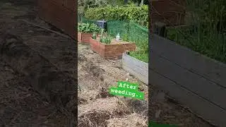 Who else is prepared for spring planting!!!!