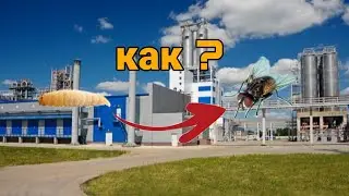 Как выводить мух из опарышей ? Самый лёгкий способ это сделать