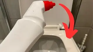 How to Use Toilet Bowl Cleaner Like a Pro!