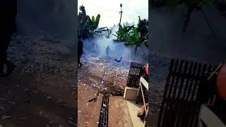 petasan kertas di hari raya idul fitri#shorts
