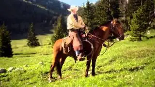EXPEDIA COWBOY FRIDAY NIGHT DUMB COUSIN