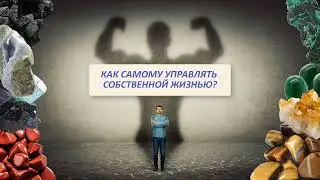 Два года ТРАНСФОРМАЦИЙ.Стратегия жизни.Часть 3. Основной закон сохранения жизни на Земле