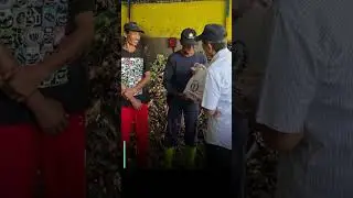 Kegiatan Anggota DPD RI Bali - Kunker Bapak Made Mangku Pastika ke TPS3R Baktiseraga Buleleng