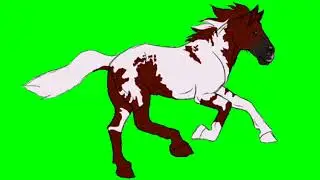 Brown AND White Running Horse Green Screen 4K video