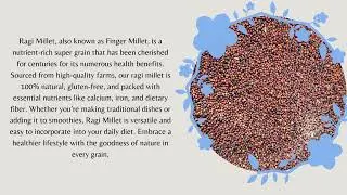 Wholesome Ragi Millet   The Super Grain for Health and Nutrition