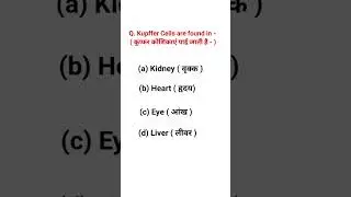General Science | Biology shorts 2 | Kupffer cells are found in?