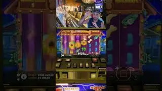 ПОЛЯНА ИКСОВ В СОБАКАХ.ЗАНОСИЩЕ!#shorts #short #madmaxshorts#madmaxstream #тренды #рекомендации