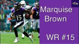 Marquise Brown 2019 season