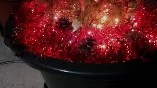 Christmas Tree 2019
