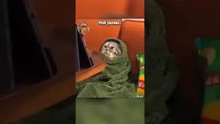 А какое у тебя хобби? #мем #юмор #shorts