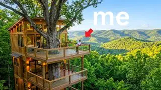 I Lived Inside Luxury Treehouses