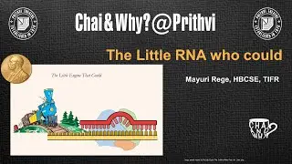 The Little RNA who could