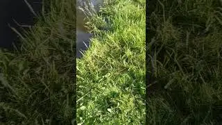 25 июня 2023 г.