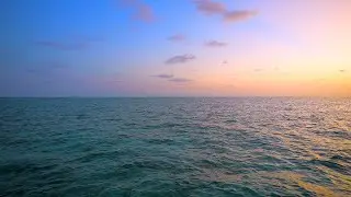 Turquoise Waves 🏝 Best Ocean Sounds for Rest, Relaxation and Sleep