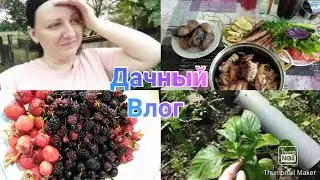 Никакой работы - только отдых!!! Участок в июне / Дачный влог