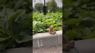 Teddy bear❤️ мишка малыш😊Перезаливаю видео😊 #bear #teddybear