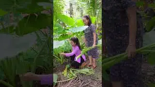 Làm món chay cùng mẹ chồng