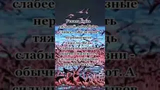 Сильная женщина