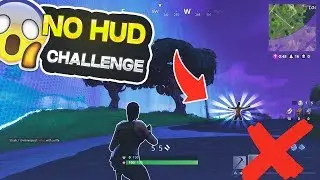 NO HUD CHALLENGE! | FORTNITE BATTLE ROYALE