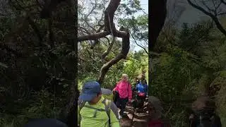 Papandayan