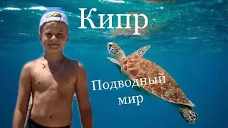 Кипр | Подводный МИР Кипра | Безопасный подводный МИР | БЕЗ СЛОВ