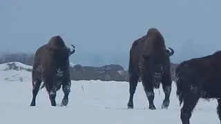 8 марта 2024 г.