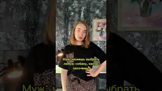 Как мы выбирали собаку #shortvideo #собака #staff #pitbull #стаффорд #юмор #стаффордширскийтерьер