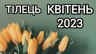ТІЛЕЦЬ КВІТЕНЬ 2023