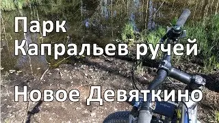 Капральев парк и Капральев Ручей в Новом Девяткино