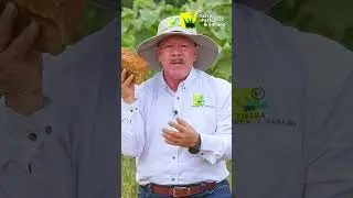 Mecanización de Suelos con ROTAVATOR