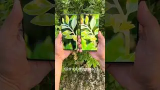 Realme 12 pro plus vs Samsung S23 ultra Camera Comparison 🤜📸🤛 