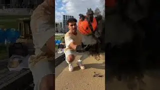 Drop it like it’s hot